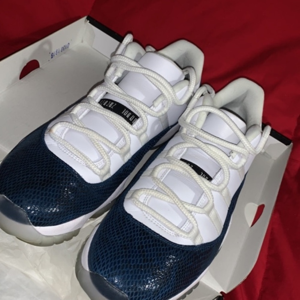 Retro 11 lows.Snakeskin